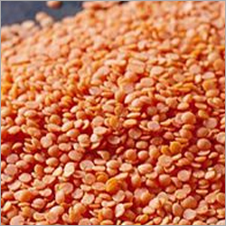 Red Masoor Dal