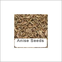 Anise Seeds