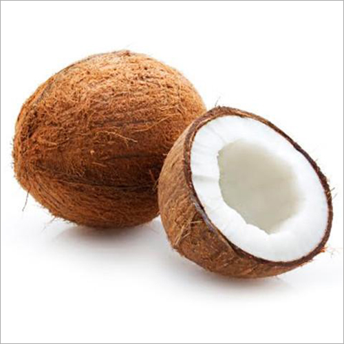 Indian Coconut Indian Coconut