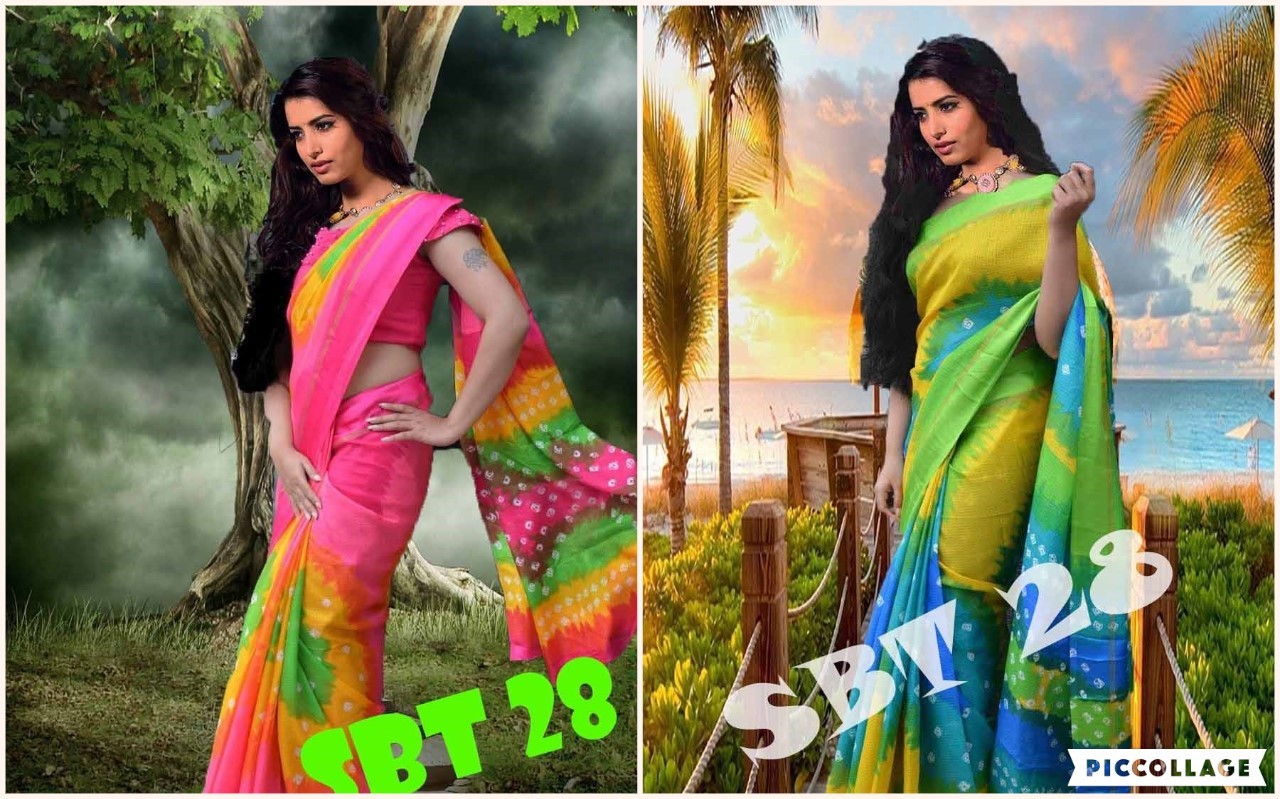 Printed Tapadiya Checks Saree