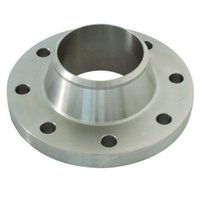 SS Forged Flanges