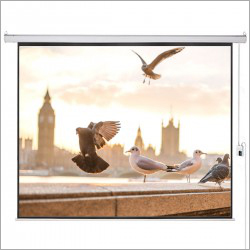 400 Inch Giant Projector Screen Brightness: 3300 Ims at Best Price in ...