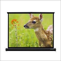 40 Inch Portable Projector Screen Brightness: 3300 Ims