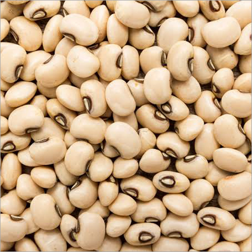 Cowpea Seeds