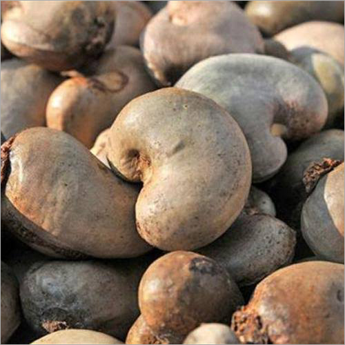 Cashew Shell