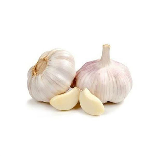 Fresh Garlic