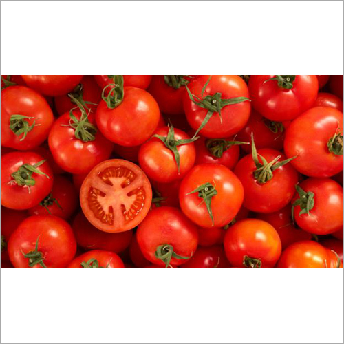 Fresh Tomato