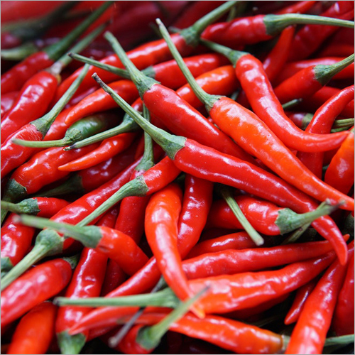 Red Chilli