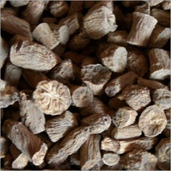 Chicory Dried Root