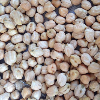 Indian Kabuli Chana