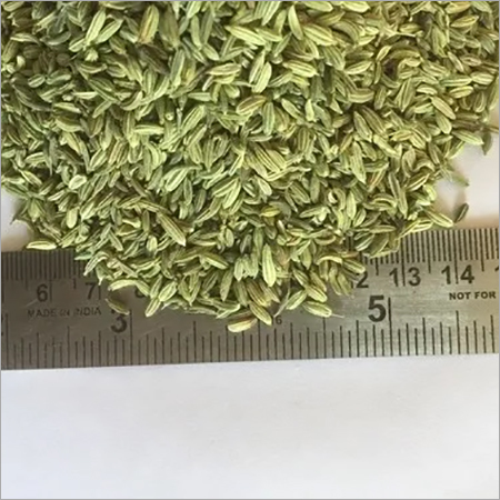 Fennel Seeds