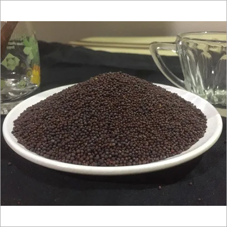 Mustard Seeds Mustard Seeds