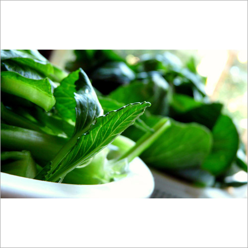 Leafy Vegetable - Green, Washed, Bulk Bags | Nutritious, Fresh, Healthy, Digestible, Long Shelf Life
