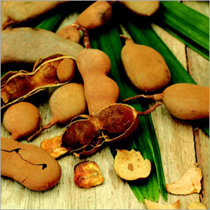 Tamarind - Brown Pod-Like Fruit, Varied Size, Hard Seed | Tangy Flavor, Dietary Fiber, Digestive Aid, Bile Remedy