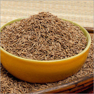 Indian Spices