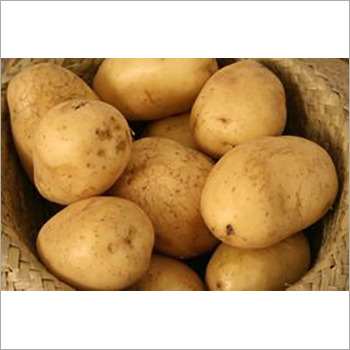 Fresh Potato Fresh Potato
