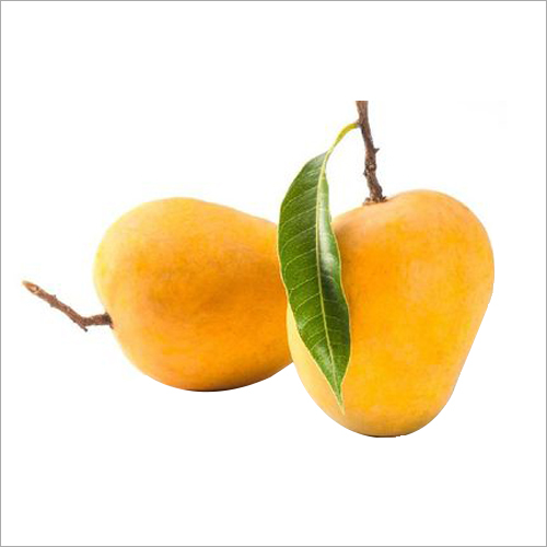 Yellow Fresh Kesar Mango
