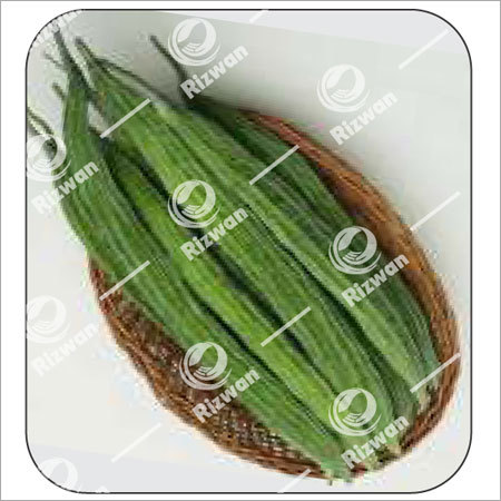 Bitter Gourd F1 Angel  (Jhalri)
