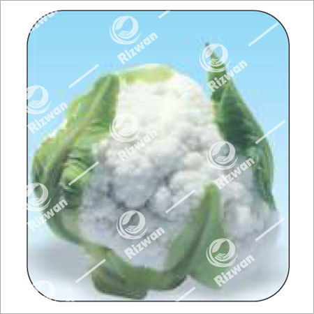 Cauliflower F1 Snow Don