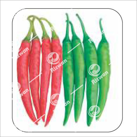 Chilli F1 Kali 701