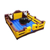 Bull Rides