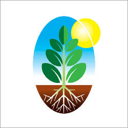 Green Baico Pesticide