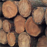 Pine Wood Logs