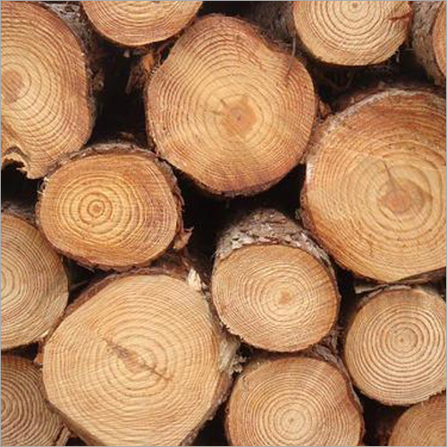 Pine Wood Round Log