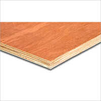 Plain Plywood