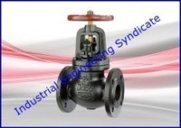 Industrial Valves & Controllers