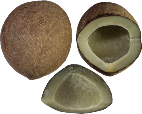 Ball Copra