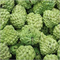 Fresh Custard Apple