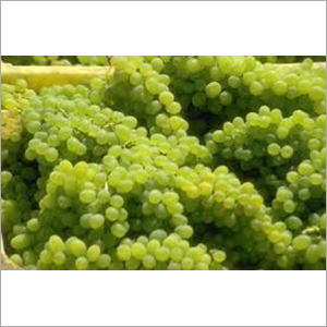 Green Grapes