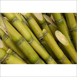 Natural Sugarcane