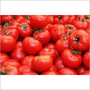 Fresh Tomato