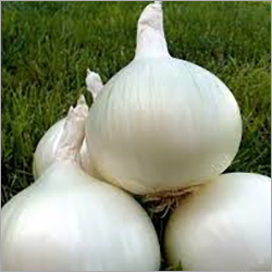 White Onion