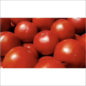 Fresh Red Tomato