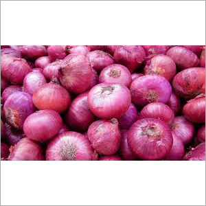 Organic Red Onion
