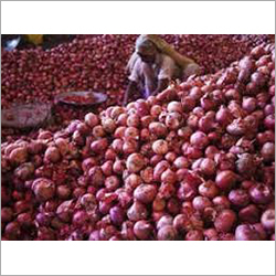 Organic Onion