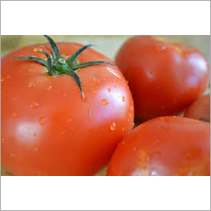 Natural Tomato