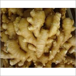 Fresh Ginger