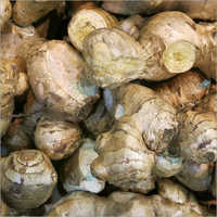 ताजा अदरक