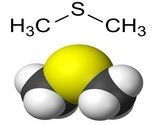 DIMETHYL SULPHIDE