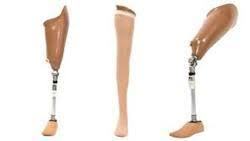 A K , Above Knee Prosthesis By HHW CARE PRODUCTS (INDIA) PVT. LTD.