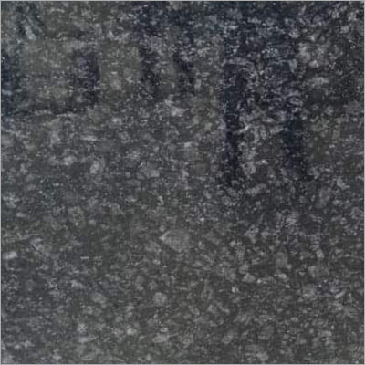 Majestic Black Granite Slab Application: For Schools