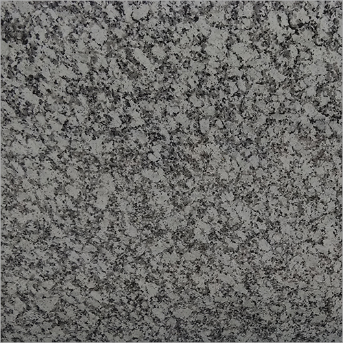 White Granite Slab Application: For Schools