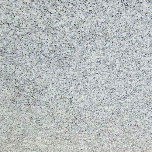 S White Granite Slab Application: For Schools