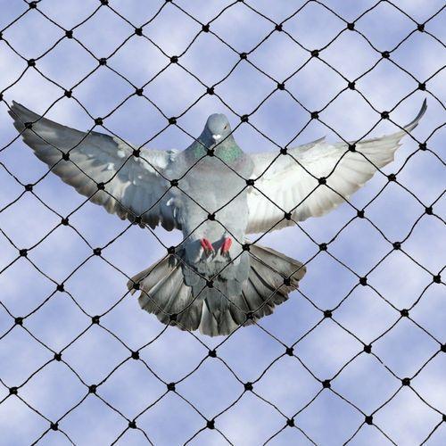 Bird Protection Netting - Nylon Material, 10 Feet x 100 Feet Size, Black Color | Waterproof, Soft Yet Durable, Customizable Dimensions