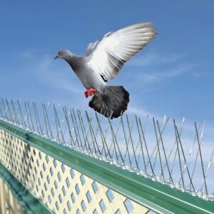 Polycarbonic Anti Bird Spike