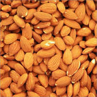 Almond Seeds - Firm Oval Shape, Brown Color , Rich In Healthy Fats And Vitamin E